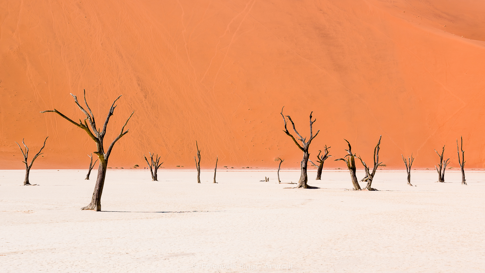Paesaggi namibiani. Sossusvlei. Uno dei luoghi più magici del paesaggio namibiano. E'una pozza d'acqua effimera circondata da alte dune, situata nel deserto del Namib meridionale.