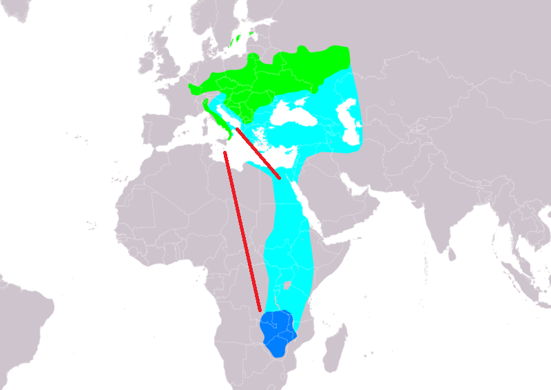 Mappa degli spostamenti delle Balie dal collare – in verde l'area di riproduzione, in blu scuro  le aree della migrazione invernale e in azzurro le aree di avvistamento. Le linee rosse rappresentano i movimenti migratori verso l'Italia. 