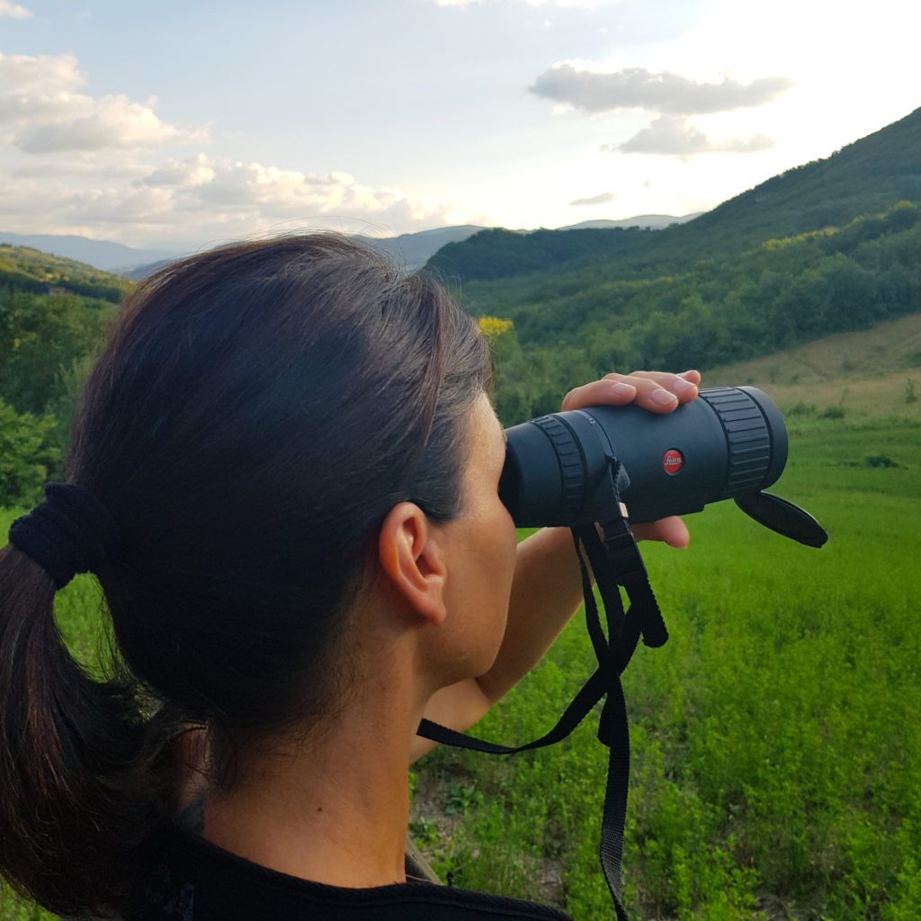 nuovo visore termico Leica Calonox View per il riconoscimento delle specie selvatiche
