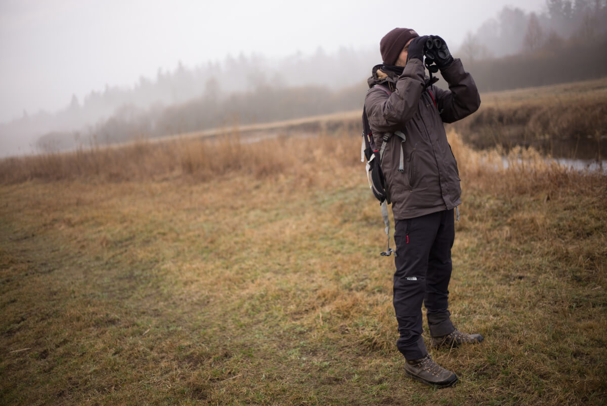 ultravid 10x42 foresta Leica Natura foto Maurizio beucci NELLA FORESTA DI BIAŁOWIEŻA ALLA RICERCA DEL BISONTE EUROPEO Leica Natura per Maurizio beucci