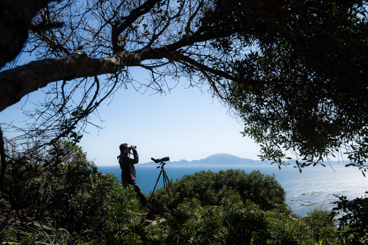 Ugo Mellone, Tarifa, Spagna Leica Natura noctivid apo televid osservazione