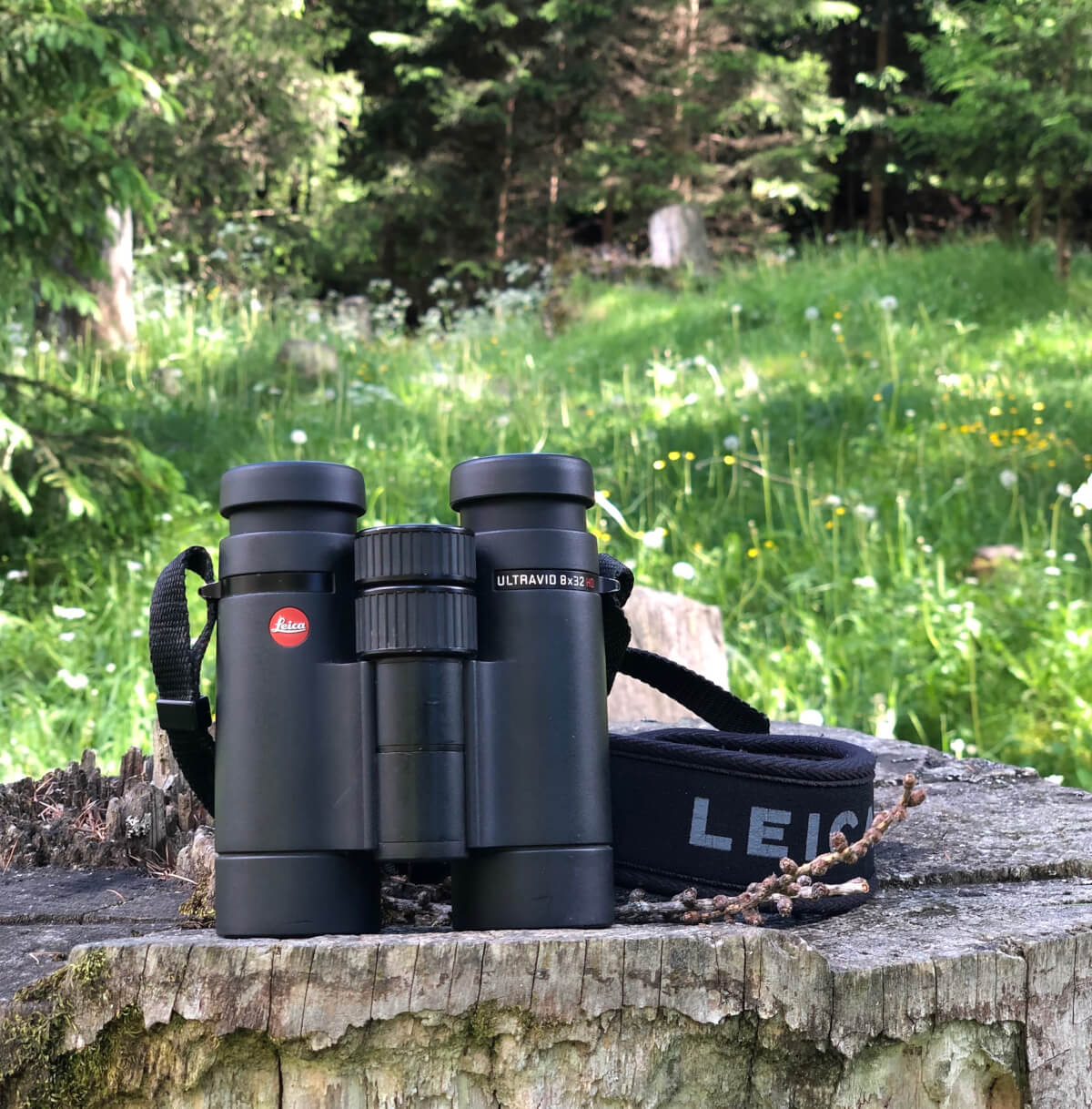 Leica Ultravid 8x32 HD-Plus. Dimensioni compatte per un binocolo specialistico di altissima qualità. Leica Natura Tatiana Chiavegato