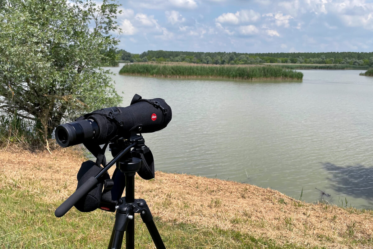 Cannocchiale Apo Televid 82 con oculare 25-50 grandangolare. Strumento utilizzato per l'osservazione a lunga distanza  durante l'escursione nel Parco del Delta del Po. Foto di Luca Giordano Leica Natura
