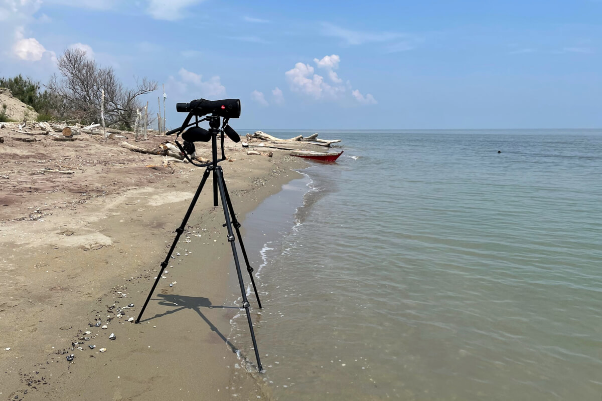 Il Parco del Delta del Po vanta decine di migliaia di ettari di territorio ricchissimo di acque dolci e salmastre, fitte pinete e spiagge abitate da oltre 370 specie di uccelli, 40 specie di mammiferi e più di 1000 specie di piante. Leica Natura