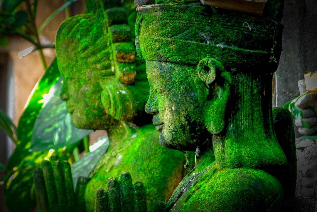 Statue di Buddha- Bali | Fotocamera Leica V-Lux 3 binocolo leica Tatiana Chiavegato Leica Natura