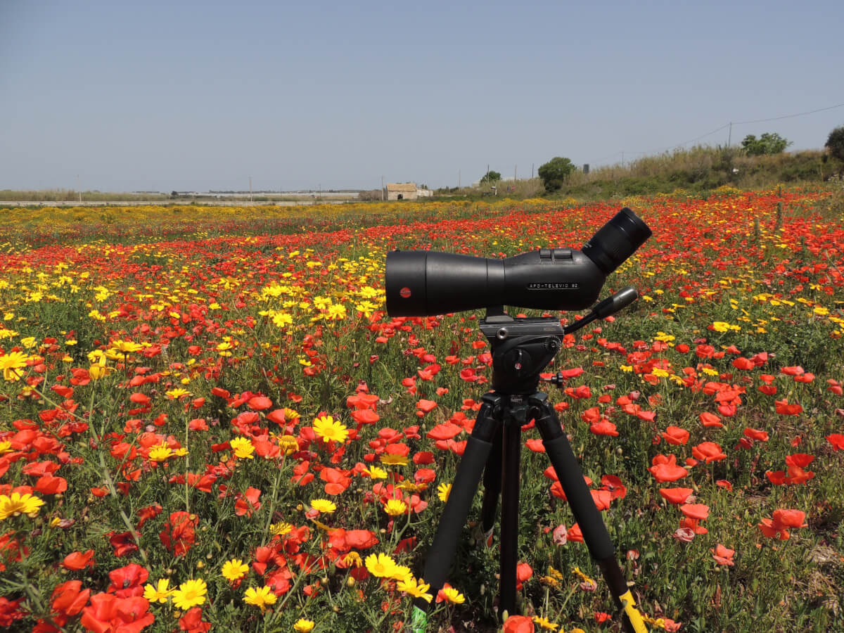 I monitoraggi per il progetto, la scorsa primavera, sono stati effettuati in aree di grande importanza e bellezza naturalistica, e grazie agli strumenti LEICA.  Leica Natura leica amo televid Swarovski optik leicabird Tatiana Chiavegato