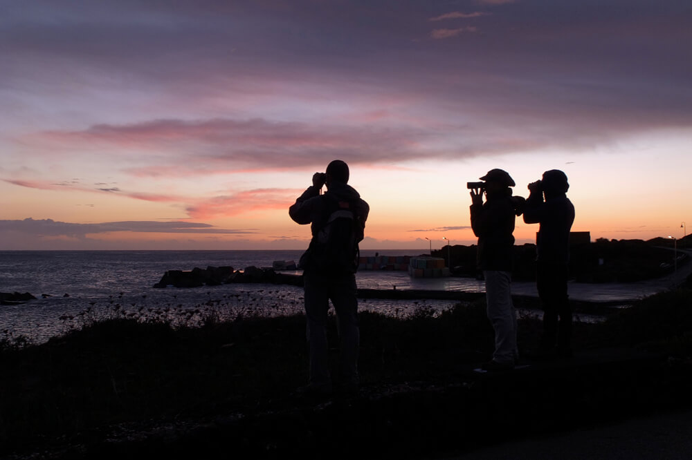 Il gruppo Misc al completo. Andrea corso minsc leicanature.it