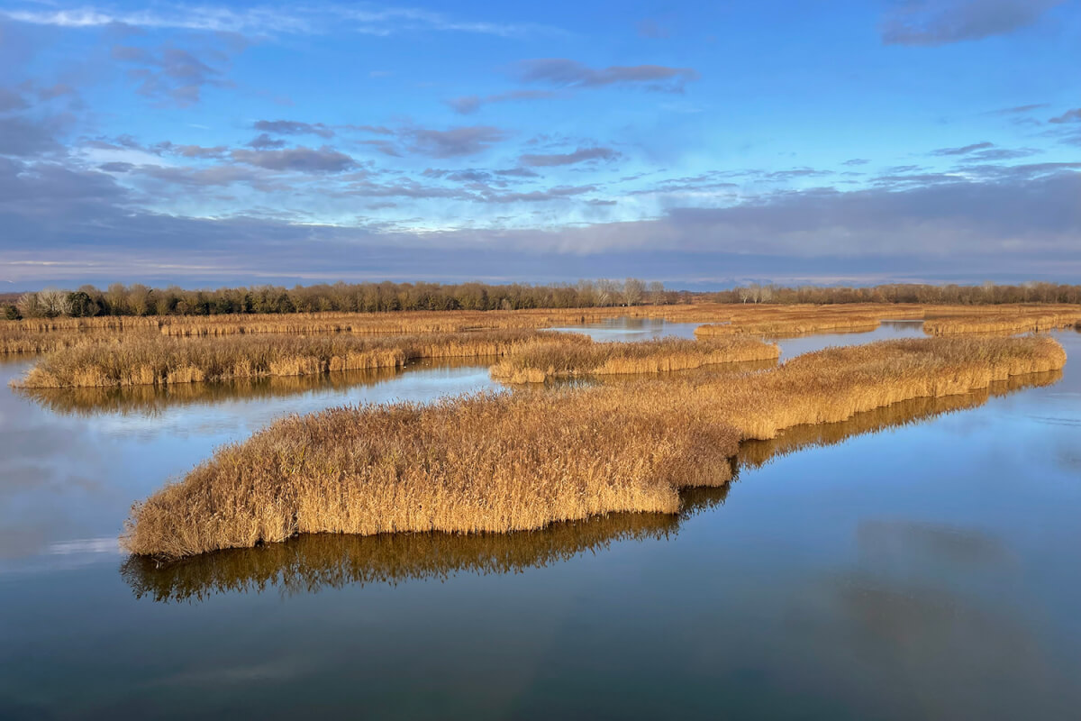 Paesaggio Parco del Delta del Po, foto Luca Giordano  Leica Natura