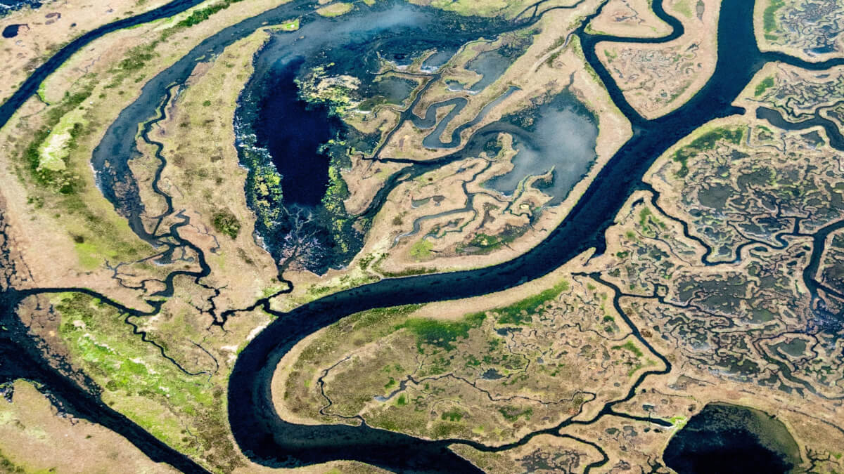 Delta del Po, panoramica. Parco del delta del po Leica Natura
