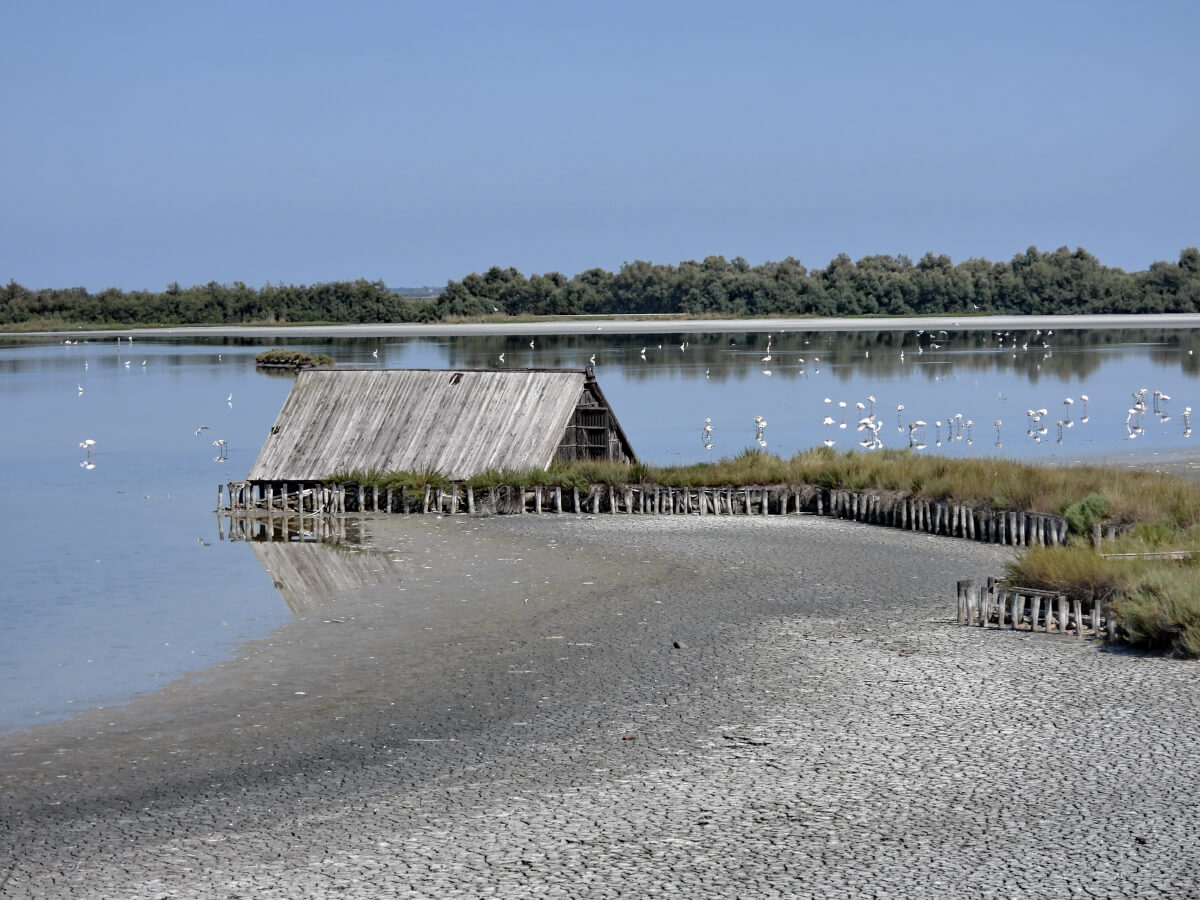 Argine Reno, fogo Miglino Domenico. Leica Natura parco del delta del po