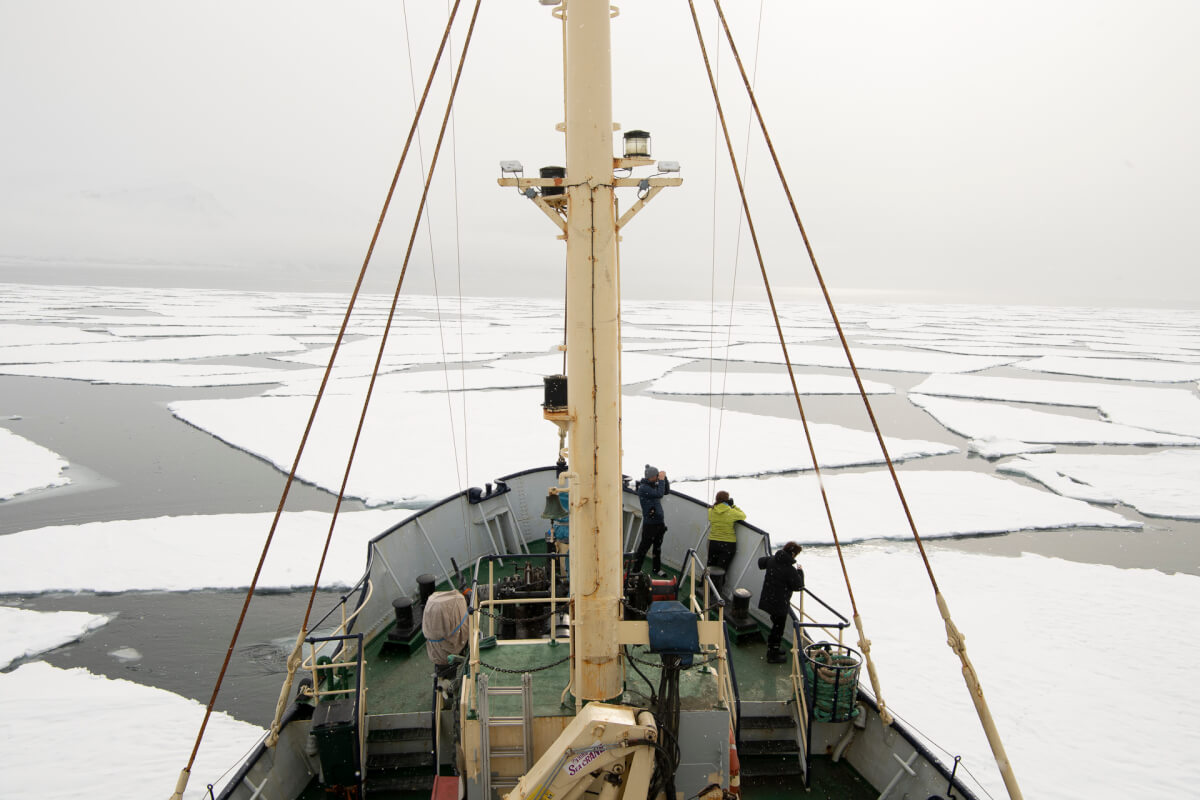 Leica Natura polo nord Isole Svalbard Stefano Unterhtiner, tra i ghiacci con Leica Sport Optics e i binocoli noctivid e ultravid