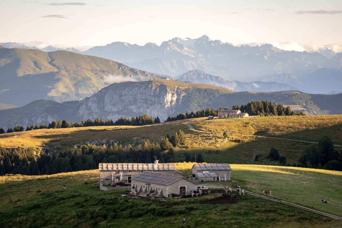 Pascoli in Lessinia. Foto F.Romito Leica Natura 