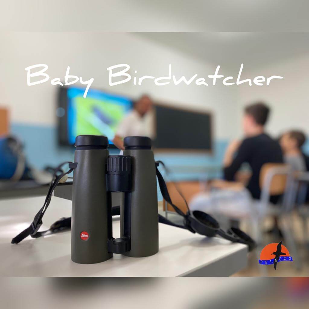 Leica Babybirder in aula